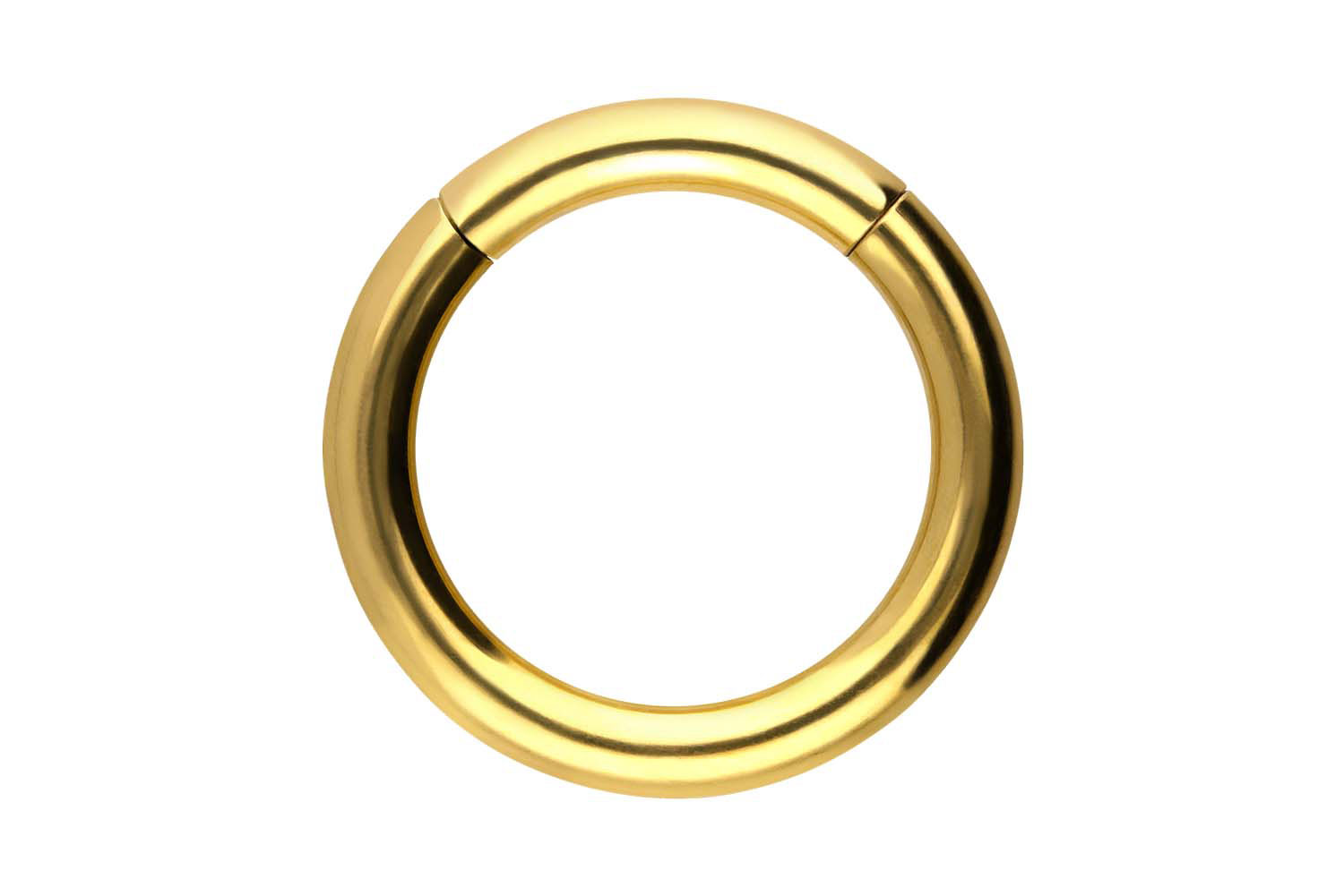 Chirurgenstahl Segmentring Clicker Piercing